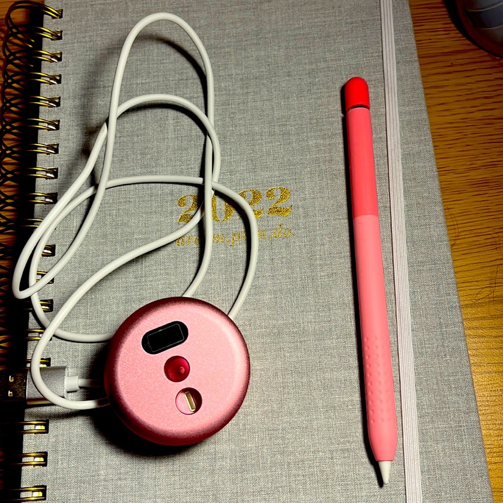 Apple Pencil 1st Generation plus a charger for it